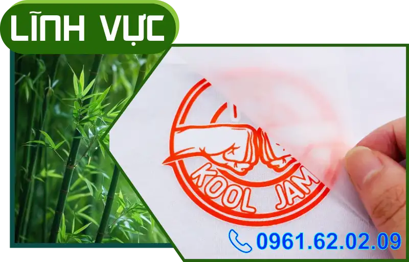 Lĩnh vực Hân Nhi