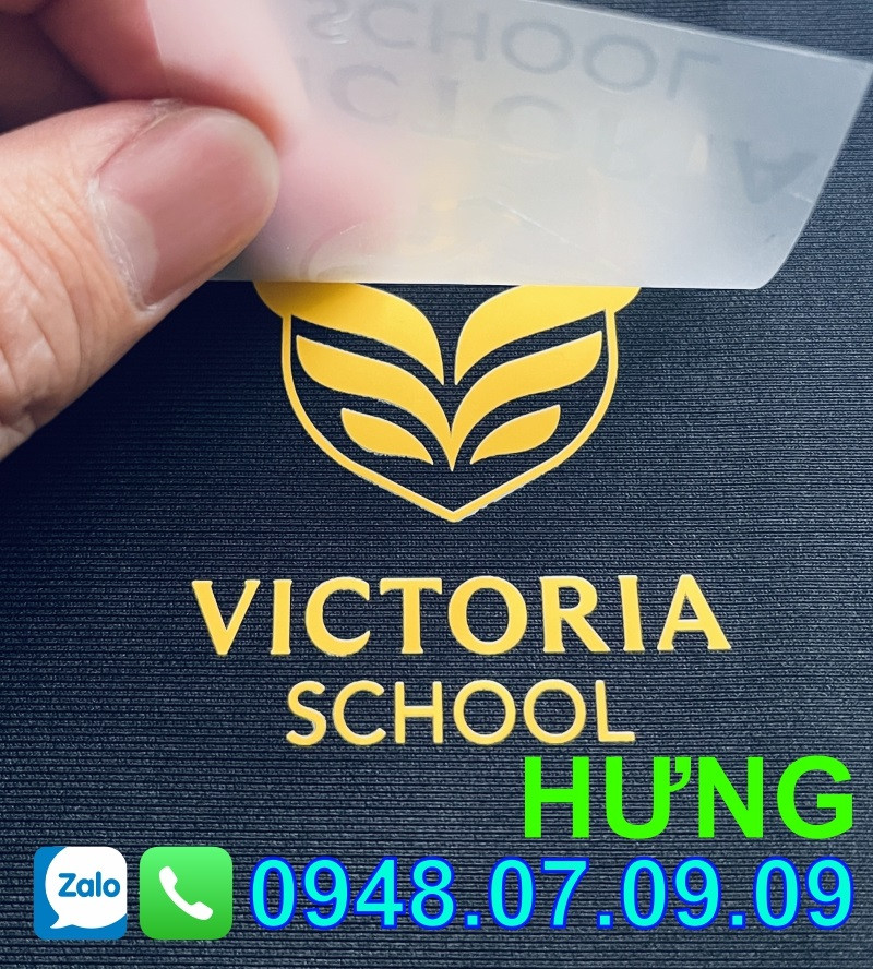 ✅ Decal in chuyển nhiệt có thực sự hiệu quả hơn các phương pháp in khác?⭐️