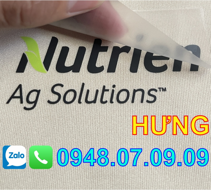 ✅ Có phải decal chuyển nhiệt thực sự là giải pháp in ấn bền vững ⭐️